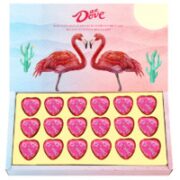 Dove 德芙 火烈鸟礼盒 约18颗