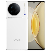 vivo X90 5G智能手机 8GB+256GB 永生花情人节套装