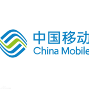 China Mobile 中国移动 宁枫卡 19元月租（80G全国流量+300分钟通话）