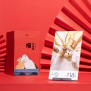 Pawbby 喵呜不停系列 2023年街猫日历-爱猫人的吸猫日历