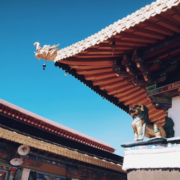 低至200元/晚，和布达拉宫做邻居！拉萨布达拉宫广场智选假日酒店 供氧智选大床/双床房2晚连住含双早套餐