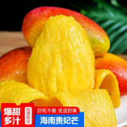 京东特价APP：楚百力 海南贵妃芒果  9斤小果(净重8.5斤)