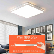 京东特价app：吸顶灯卧室灯 方形卧室灯黑30*30cm白光(特价限1个)