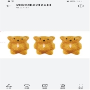 Elvan 土耳其进口 爱吻 Elvan 夹心小熊蛋糕 225克/包