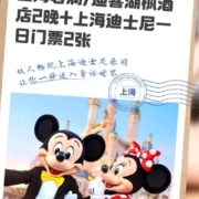 上海迪士尼 飞猪官网上海君澜/迪客湖枫酒店2晚+迪士尼门票