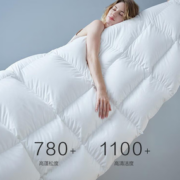 YANXUAN 网易严选 95%白鹅绒抗菌羽绒被春秋四季被 白色200*230cm
