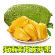 PLUS会员：保蓉生鲜水果俱乐部 海南三亚菠萝蜜 20-24斤