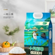 十月稻田 东北长粒香大米 5kg 黑龙江粳米