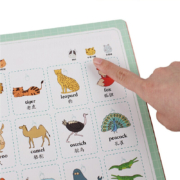 会说话的早教有声书 识字大王 幼儿学汉字认字神器 幼儿园3-6-7岁学前