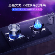 WAHIN 华凌 JZT-HQ9M 嵌入式燃气灶 天然气