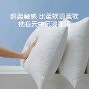LOVO 乐蜗家纺 柔软纤维对枕  46*72cm