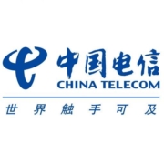 CHINA TELECOM 中国电信 梅花卡19元月租（110G全国流量+100分钟）激活送30