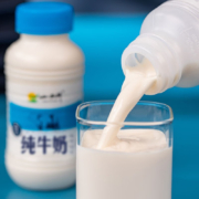 京东特价app：小西牛 青藏人家新客尝鲜3瓶装