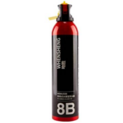 北大青鸟 车载水基灭火器 500ml