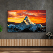 PLUS会员！TCL 55V8E 液晶电视 55英寸 4K