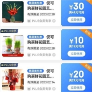 PLUS会员、即享好券：京东 满29-20/49-30元 鲜花园艺大额券