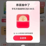 天猫APP 闪购红包 实测抽到0.66元