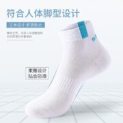 Langsha 浪莎 男士袜子男夏季短袜 10双装