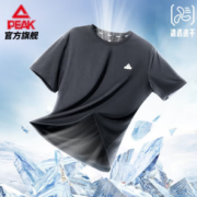 PEAK 匹克 男子运动T恤 DF612081
