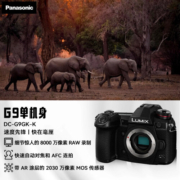 松下 G9 微单/单电无反数码旗舰版专业照相机 高清4K 高速连拍 5轴防抖 M43画幅 【机身】不含镜头