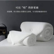 母婴级A类抗菌，LENCIER 兰叙 夏季薄被/春秋被/冬被芯（1.5~2米）