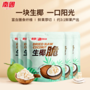 南国生椰脆块30gx2袋海南特产香烤椰子肉椰子脆块角脆片休闲零食