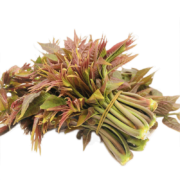 PLUS会员：朝道臻品 头茬香椿芽 净重500g*2件