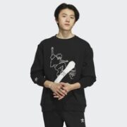 adidas 阿迪达斯 男款运动卫衣 IK4313