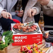 阿丢 一次性小型无烟木炭烧烤炉（含木炭、烧烤网、金属烤夹、不锈钢碳夹、灭碳压缩毛巾）