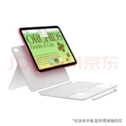 京东百亿补贴：苹果（Apple）ipad2022新款第10代10.9英寸苹果平板电脑 WLAN版 银色 256G