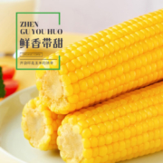 京喜特价APP：珍谷诱惑 东北有机黄糯玉米 2kg(10支×200g)