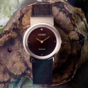 Citizen 西铁城 L系列 女士舒博钛光动能手表EG7072-19X