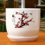 有券的上：家用花盆 梅花款含托盘有孔 10cm