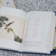 诗经全集共3册 原文译文注释插图 原著完整版 给孩子的诗经注音版译注 书风雅颂三卷