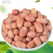 88VIP！李老头 五香花生炒货  400g