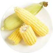 PLUS会员：晨木鲜生 金银水果玉米 净重4.5斤*2件