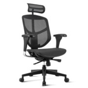 保友办公家具（Ergonor）金卓b2代enjoy人体工学椅  家用电脑椅办公椅子 游戏电竞椅 黑色美国网（尼龙椅脚） 高配版