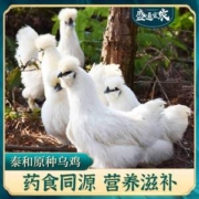 盛通宜农 120天龄原种泰和乌鸡礼盒装 净重650g