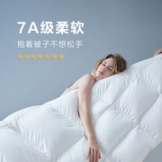 YANXUAN 网易严选 95%白鹅绒抗菌羽绒被 雾霾蓝 200*230cm