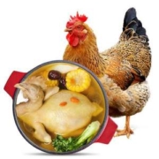 上市公司出品，温氏 天露老母鸡 1.2kg*4件