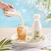 乐百氏 升级版生榨椰子汁 245mL*10瓶