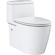 高仪（GROHE）进口一体式直冲马桶 原装陶瓷座便器 305坑距可移位坐厕39315000