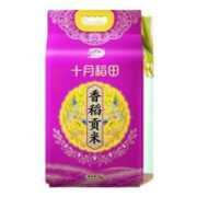 十月稻田 香稻贡米 5kg*2