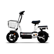 PALLA K6 48V20Ah长续航电动自行车小洲洲IP版新大洲新国标代步电瓶车 钻白