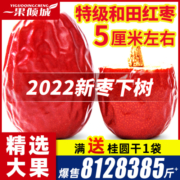 红枣新疆特级和田大枣2022年新货特大红枣干一级枣子干货特产5斤