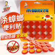赵师傅灭蟑螂药非无毒一窝全窝蟑螂厨房室内端灭杀胶饵贴屋