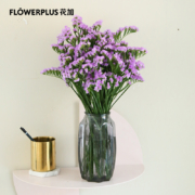 plus会员：FlowerPlus 花加 勿忘我 300g 随机色