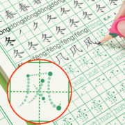 一年级字帖练字小学生上册下册同步点阵控笔训练字帖二年级三四五六钢笔练字帖每日一练人教版语文笔画笔顺专用练字本硬笔书法楷书