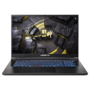 20日0点： Hasee 神舟 战神GX8R9 17.3英寸游戏本 i9-13900HX 32GB 1TB RTX4060