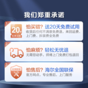 海尔（haier）按摩椅家用全身太空舱全自动多功能零重力智能电动按摩沙发按摩机爸爸妈妈生日节日礼物实用 H3-102灰色H
